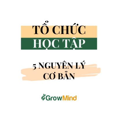 Nguyen ly co ban của To chuc hoc tap