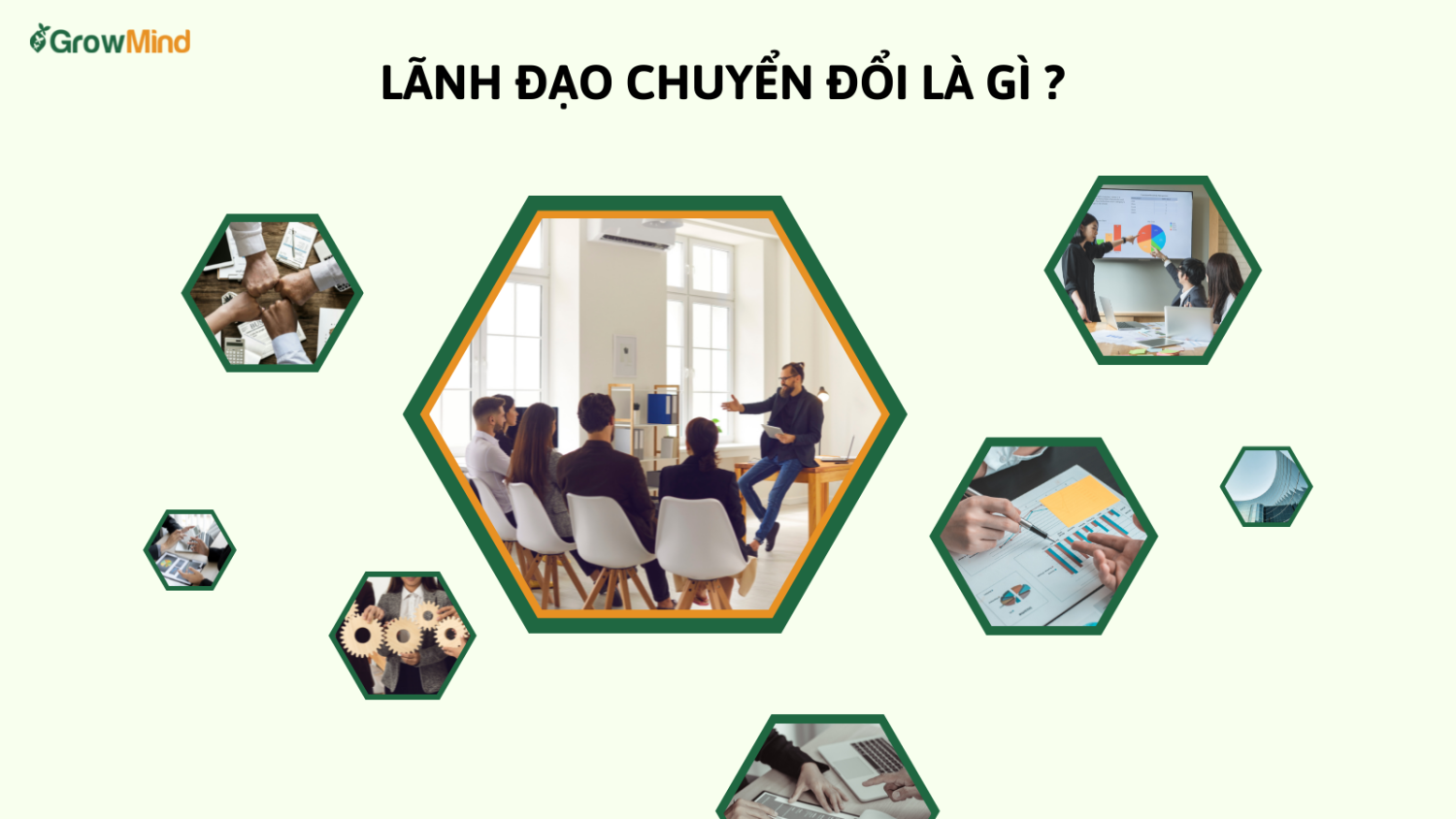 Lãnh Đạo Chuyển Đổi Là Gì? Tìm Hiểu Chi Tiết Về Phong Cách Lãnh Đạo Hiệu Quả